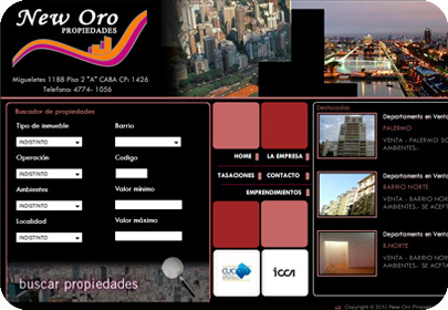 Sitios Web para Empresas NewOro