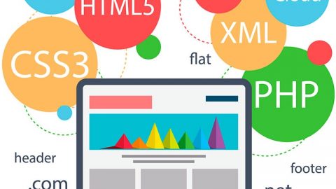 Desarrolladores de Paginas Web en Argentina