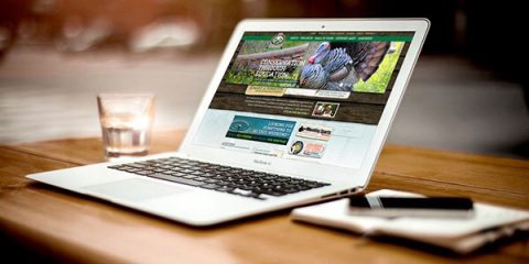Paginas Web para Empresas