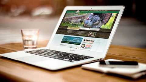 Paginas Web para Empresas