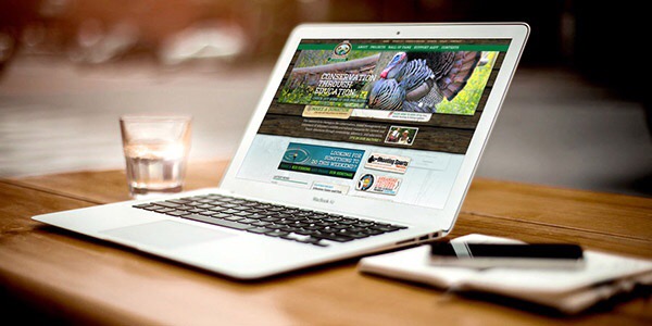 Paginas Web para Empresas Paginas Web para Empresas