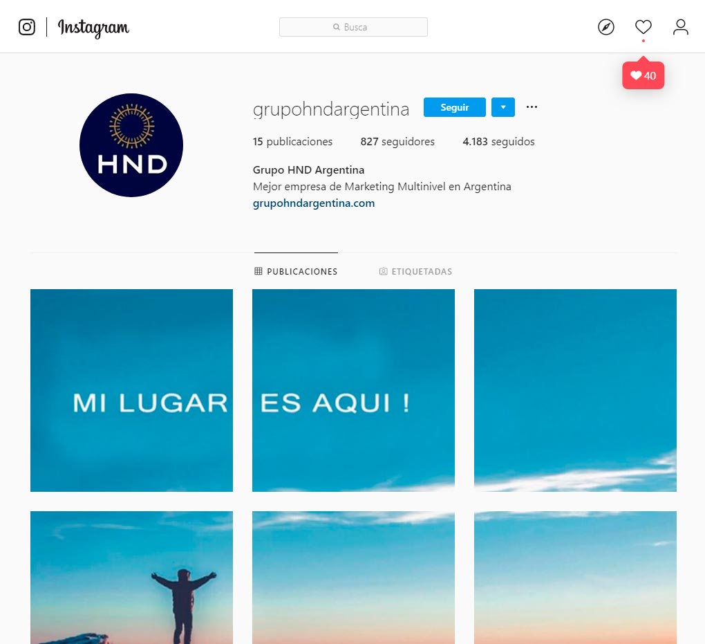 Marketing Digital Instagram y Web HND Argentina
